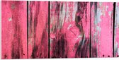 Acrylglas - Roze Geverfde Schutting - 100x50 cm Foto op Acrylglas (Met Ophangsysteem)