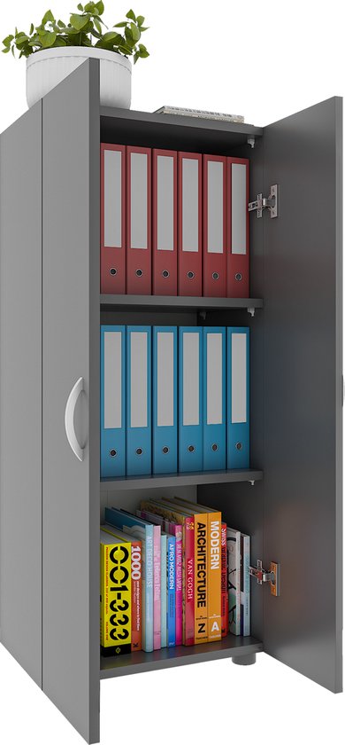 Grijze archiefkast met open deuren. Bovenste plank met rode mappen, middelste plank met blauwe mappen, onderste plank met boeken. Plantje op de kast.