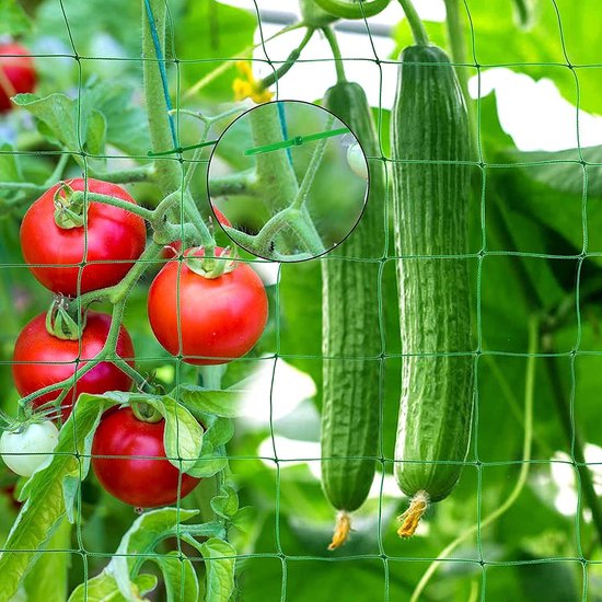 pinces à plantes pour tomates, roses, concombres et autres plantes  grimpantes, Support
