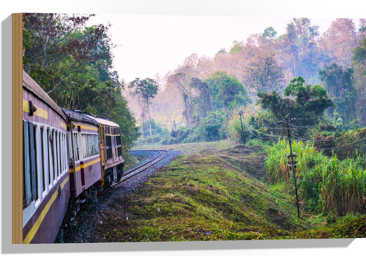 WallClassics - Hout - Thaise Trein door Groen Natuurgebied in Thailand - 60x40 cm - 9 mm dik - Foto op Hout (Met Ophangsysteem)