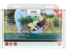 Buzzy Vergeten Groente - 6 Soorten Groentezaden - Inclusief Zaai instructies, Houten Steek Etiketten en Potlood - Budget Sinterklaas - Kerst Cadeautjes