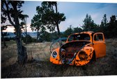 PVC Schuimplaat - Kapotte Oranje Auto in landschap - 120x80 cm Foto op PVC Schuimplaat (Met Ophangsysteem)