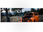 PVC Schuimplaat - Kapotte Oranje Auto in landschap - 60x20 cm Foto op PVC Schuimplaat (Met Ophangsysteem)