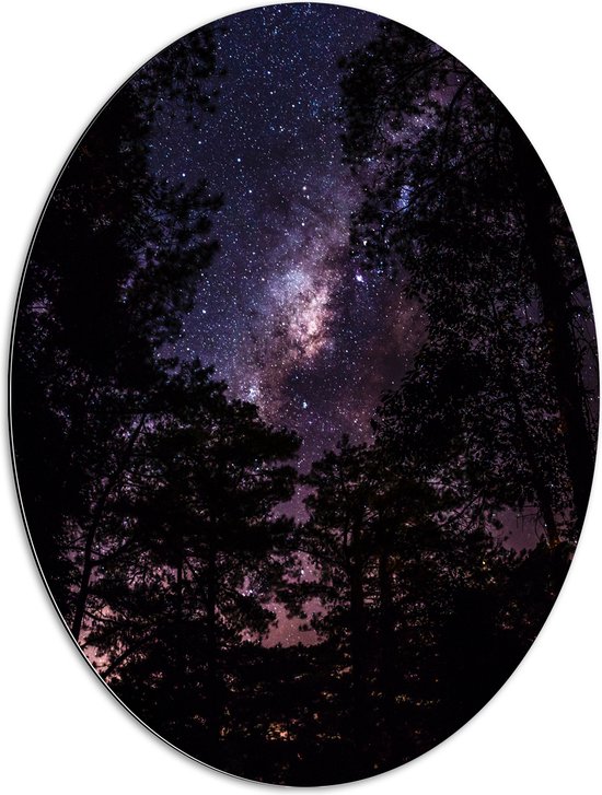 Dibond Ovaal - Heldere Galaxy Hemel tussen de Boomtoppen van het Bos - 60x80 cm Foto op Ovaal (Met Ophangsysteem)