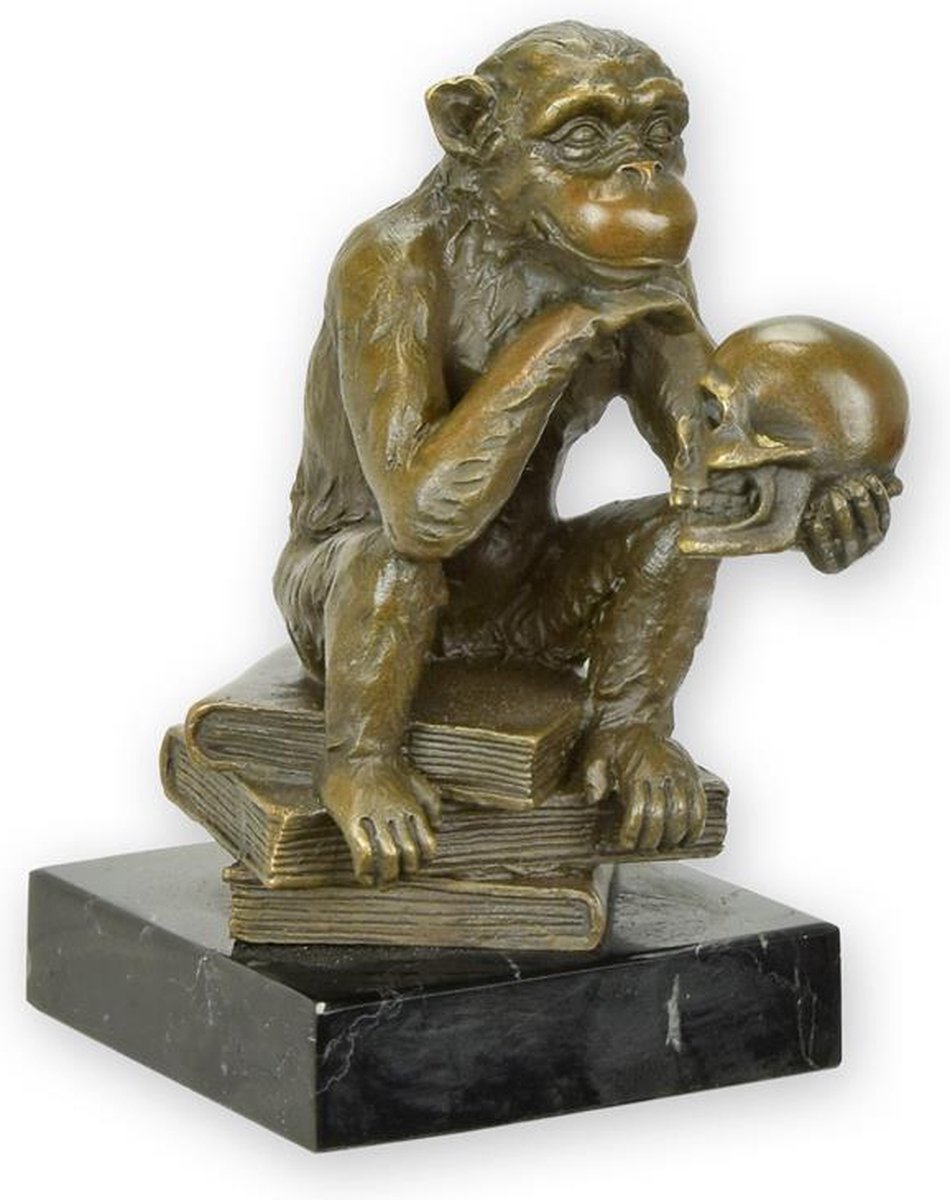 EEN BRONZEN BEELD VAN DE FILOSOFERENDE DARWIN-AAP