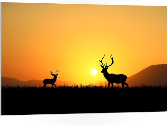 PVC Schuimplaat- Silhouet van Herten rennend door het Weiland bij Zonsondergang - 105x70 cm Foto op PVC Schuimplaat