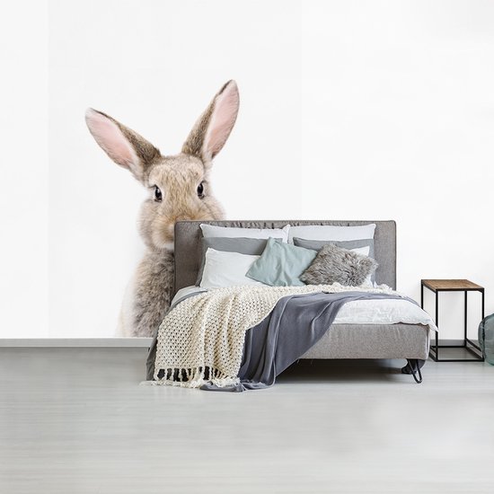 Konijn - Dieren - Natuur - Bruin - Behangpapier