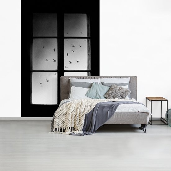 Kat - Dieren - Zwart wit - Raam