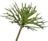 Hertshoorn - platycerium - Ø 30 cm - bladsteker - zonder pot - kunstplant