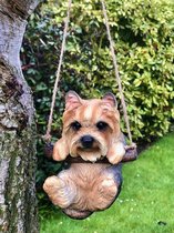 Pup Yorkshire hangend ass 15 cm hoog - hond - dog - polyester - polystone - beeld - tuinbeeld - hoogkwalitatieve kunststof - decoratiefiguur - interieur - accessoire - voor binnen - voor buiten - cadeau - geschenk - Kerst - nieuwjaar