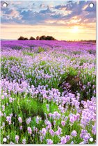 Tuinposter bloemen - Tuindecoratie lavendel paars - 40x60 cm - Tuinschilderij voor buiten - Tuindoek zonsondergang - Wanddecoratie tuin - Schuttingdoek - Balkon decoratie - Muurdecoratie natuur landschap - Buitenposter schutting