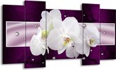 GroepArt - Schilderij - Orchidee - Zwart, Wit, Paars - 120x65 5Luik - Foto Op Canvas - GroepArt 6000+ Schilderijen 0p Canvas Art Collectie - Wanddecoratie