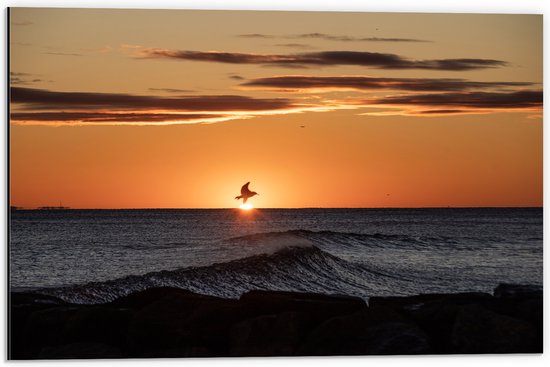 Dibond - Vogel Vliegend boven Zee met Hoge Golven tijdens Zonsondergang - 60x40 cm Foto op Aluminium (Wanddecoratie van metaal)