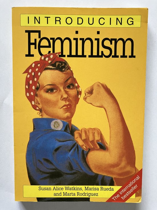 Introducing Feminism