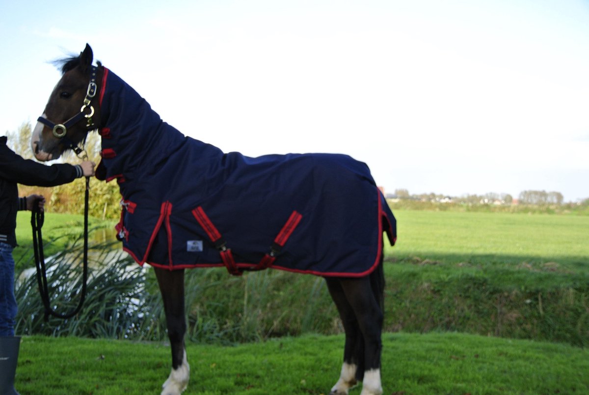 Buitendeken luxe met hals 300gr Navy paardendeken - maat 165