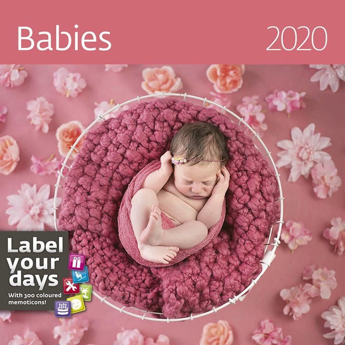 Baby's - Babies Kalender 2020