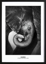 Baby Elephant Poster (21x29,7cm) - Wallified - Natuur - Landschap - Zee - Poster - Print - Wall-Art - Woondecoratie - Kunst - Posters