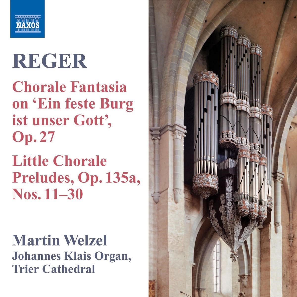 Martin Welzel - Reger: Organ Music Volume 8 (CD)