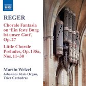 Welzel - Organ Music Volume 8 (CD)