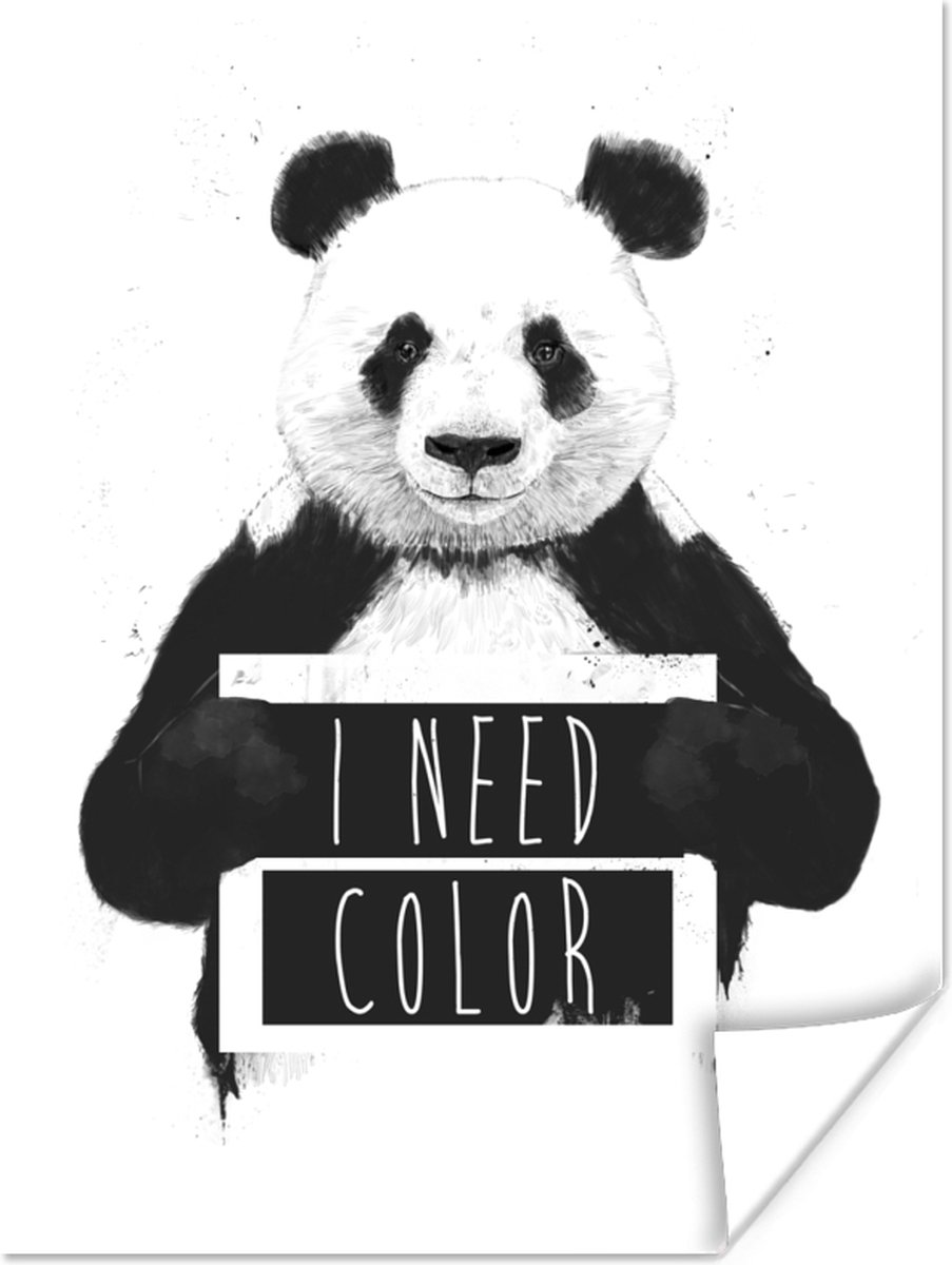 Poster Panda - Quote - Kleur - Wit - 60x80 cm