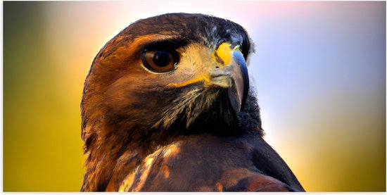 Poster Glanzend – Poserende Roodstaartbuizerd Vogel - 100x50 cm Foto op Posterpapier met Glanzende Afwerking