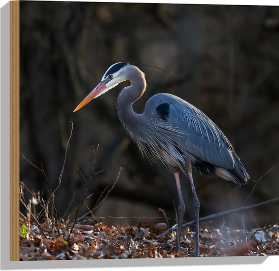 Hout - Reiger tussen de Kale Takken en Herfstbladeren in het Bos - 50x50 cm - 9 mm dik - Foto op Hout (Met Ophangsysteem)