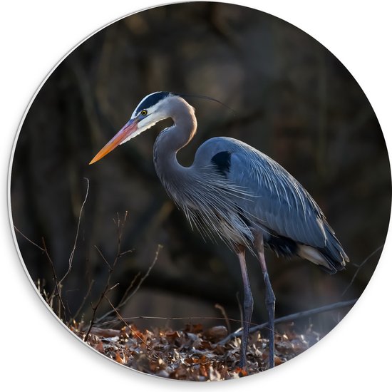 PVC Schuimplaat Muurcirkel - Reiger tussen de Kale Takken en Herfstbladeren in het Bos - 30x30 cm Foto op Muurcirkel (met ophangsysteem)