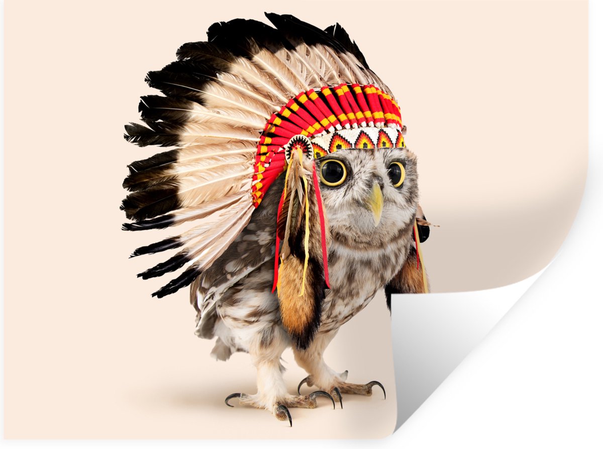 Muurstickers - Sticker Folie - Uil - Indiaan - Veren - Dieren - 40x30 cm - Plakfolie - Muu
