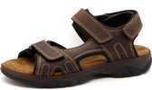 Sandale Rohde Homme 5950-71 Marron - Taille 46