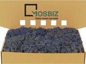 MosBiz Rendiermos Royal Blue per 1000 gram voor decoraties en mosschilderijen