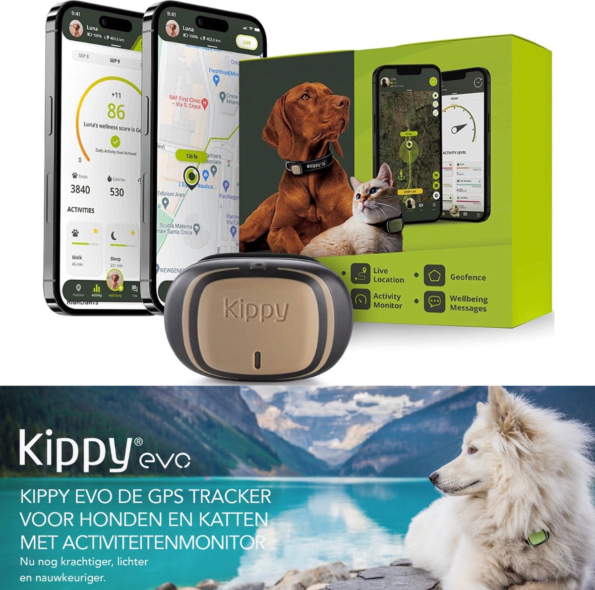 Kippy GPS Tracker Kat - GPS Tracker Hond - Activiteitentracker - Bruin - Waterdicht - 10 Dagen Batterij - LED-Zaklamp - Kippy EVO
