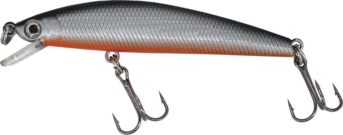 Albatros Catch21 Erratic Silver Shiner
