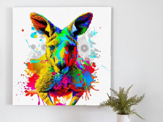 Rainbow Burst Kangaroo kunst - 60x60 centimeter op Plexiglas | Foto op Plexiglas - wanddecoratie