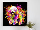 Explosive Poodle Palette kunst - 30x30 centimeter op Canvas | Foto op Canvas - wanddecoratie
