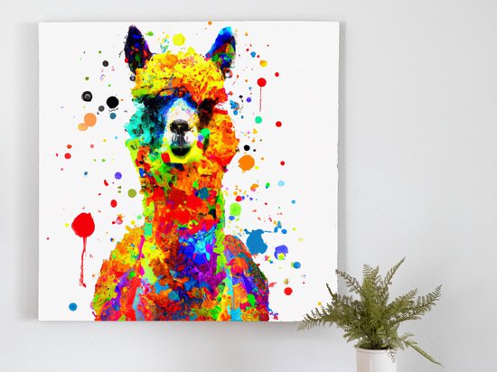Rainbow burst alpacas | Rainbow Burst Alpacas | Kunst - 40x40 centimeter op Canvas | Foto op Canvas