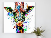 Goofy giraffe | Goofy Giraffe | Kunst - 40x40 centimeter op Dibond | Foto op Dibond