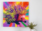 Eclectic Echidna kunst - 30x30 centimeter op Canvas | Foto op Canvas - wanddecoratie
