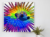 Rainbow echidna burst | Rainbow Echidna Burst | Kunst - 60x60 centimeter op Dibond | Foto op Dibond - wanddecoratie schilderij