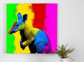 Rainbow aardvark burst | Rainbow Aardvark Burst | Kunst - 60x60 centimeter op Dibond | Foto op Dibond - wanddecoratie schilderij