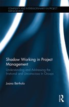 Complexity and Interdisciplinarity in Project Management- Shadow Working in Project Management