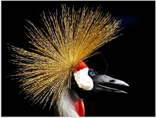 WallClassics - Poster (Mat) - Vue latérale des grues sur fond noir - Photo 40x30 cm sur papier poster avec un aspect mat