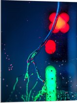Acrylglas - Rood en Groen Licht in Vorm van Bloem (Niet Lichtgevend) - 60x80 cm Foto op Acrylglas (Met Ophangsysteem)