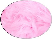 Dibond Ovaal - Roze Veren - 40x30 cm Foto op Ovaal (Met Ophangsysteem)
