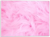 PVC Schuimplaat- Roze Veren - 40x30 cm Foto op PVC Schuimplaat