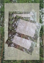 Briefpapier - Set Dennenbomen - 12 vellen en 6 enveloppen - A4 formaat - Postpapier Natuur