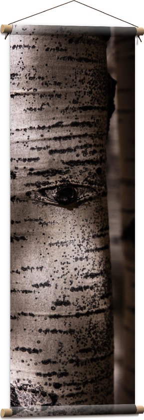 WallClassics - Textielposter - Close-up van Witte Berkenstam - 40x120 cm Foto op Textiel
