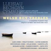 Various Artists - Welsh Boy Trebles (CD)
