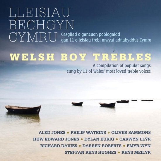 Various Artists - Welsh Boy Trebles (CD)