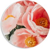 PVC Schuimplaat Muurcirkel - Roze Bloemenboeket - 20x20 cm Foto op Muurcirkel (met ophangsysteem)