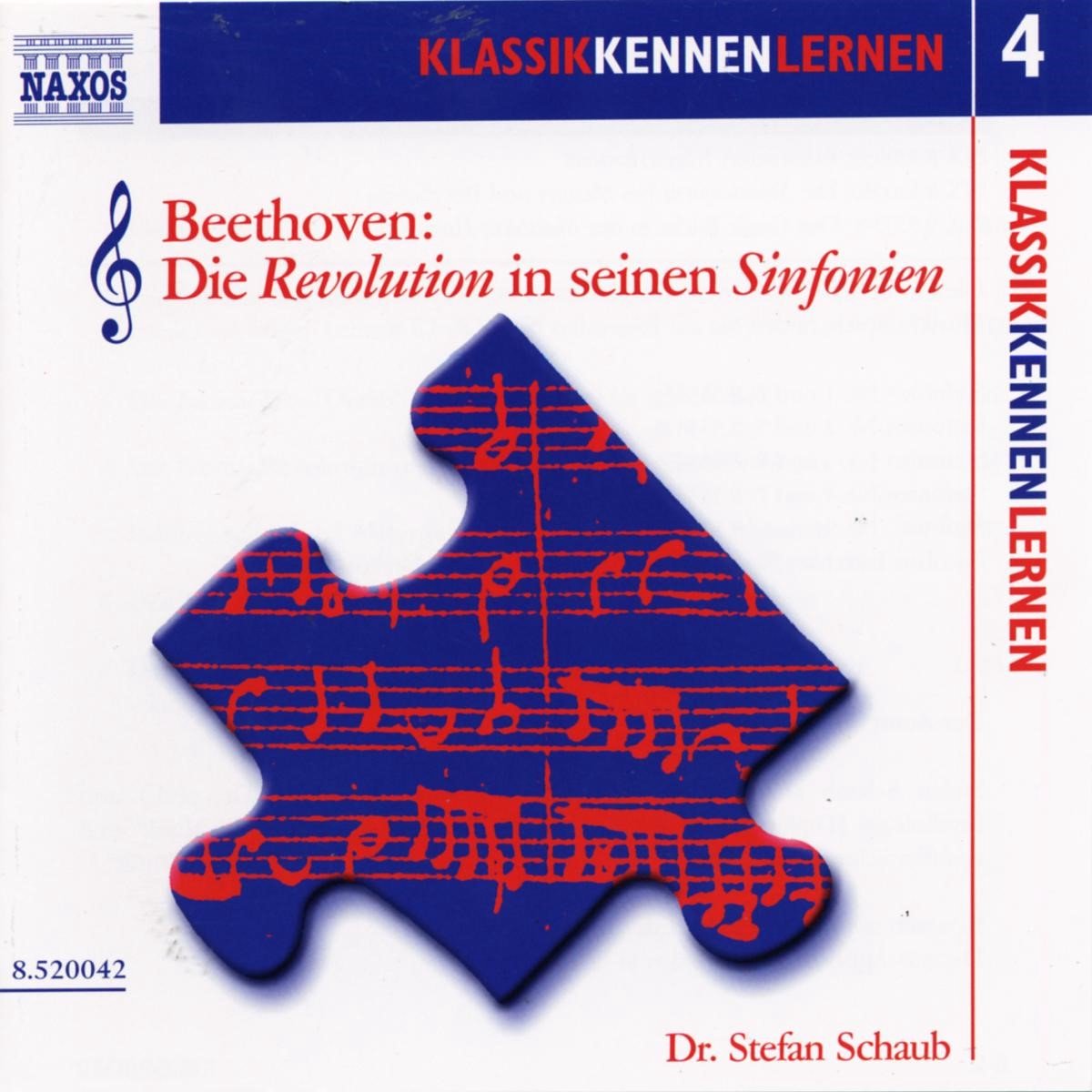 Stefan Schaub - Beethoven: Die Revolution In Seinen Sinfonien (CD)
